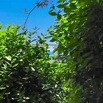 Casa Delle Chicche - *