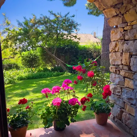 Apartament Casa Delle Chicche - *